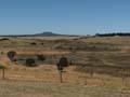 Mount Napier